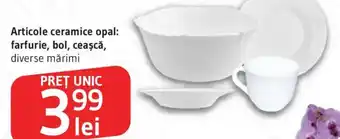 Articole ceramice opal: farfurie, bol, ceașcă