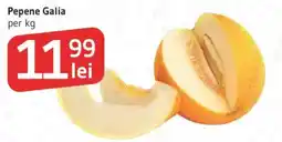 Supeco Pepene Galia Ofertă