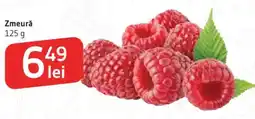 Supeco Zmeură Ofertă