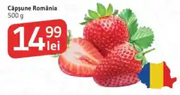 Supeco Căpşune România Ofertă