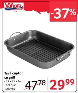 Selgros Tavă cuptor cu grill Ofertă