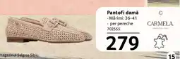 Selgros Pantofi damă Ofertă