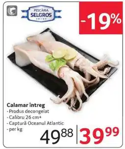 Selgros Calamar întreg Ofertă