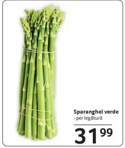 Selgros Sparanghel verde Ofertă