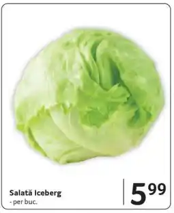 Selgros Salată Iceberg Ofertă