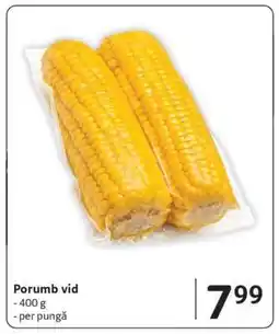 Selgros Porumb vid Ofertă