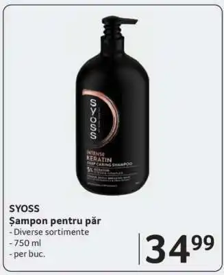 Selgros SYOSS Ofertă