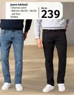 Selgros Jeans bărbați Ofertă
