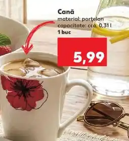 Kaufland Cană Ofertă