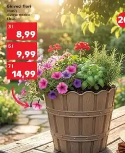 Kaufland Ghiveci flori Ofertă