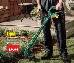 Kaufland Trimmer pentru gazon Ofertă