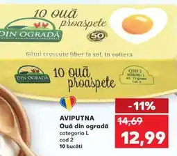 Kaufland Ouă din ogradă Ofertă