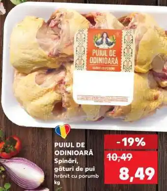 Kaufland PUIUL DE ODINIOARĂ Ofertă