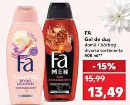 Kaufland FA Gel de Duș Ofertă
