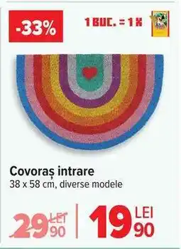 Carrefour Covoraș intrare Ofertă