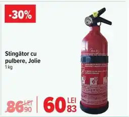 Carrefour Stingător cu pulbere, Jolie Ofertă