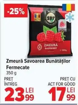 Carrefour Zmeură Savoarea Bunătăților Fermecate Ofertă