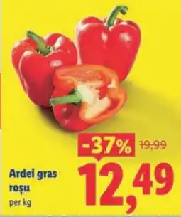Lidl Ardei gras roșu Ofertă