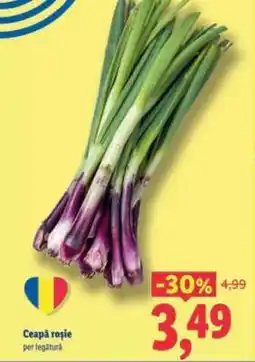 Lidl Ceapă roşie Ofertă