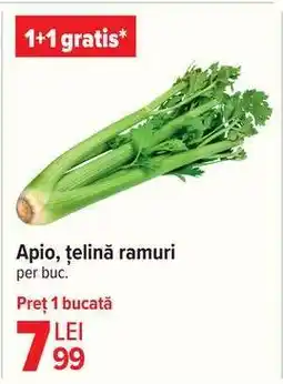Carrefour Apio, țelină ramuri Ofertă