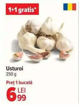 Carrefour Usturoi Ofertă