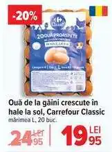 Carrefour Ouă de la găini crescute în hale la sol, Carrefour Classic Ofertă