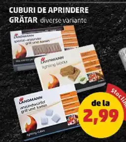 Penny Cuburi de aprindere grătar Ofertă