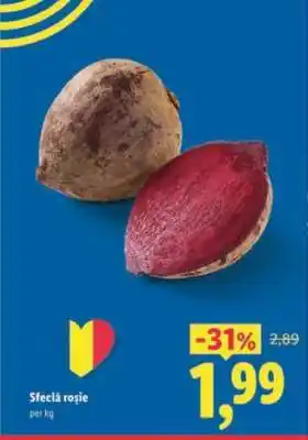 Lidl Sfeclă roşie Ofertă