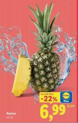 Lidl Ananas Ofertă