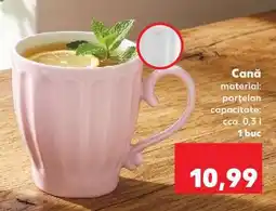 Kaufland Cană Ofertă