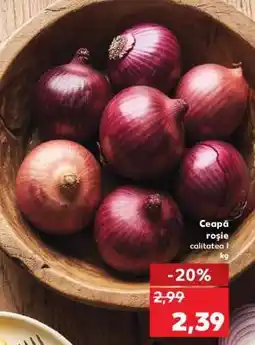 Kaufland Ceapă roşie Ofertă