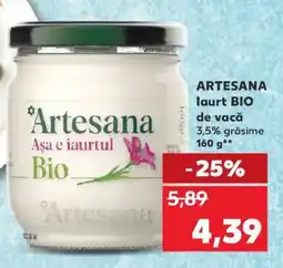 Kaufland ARTESANA Iaurt BIO Ofertă