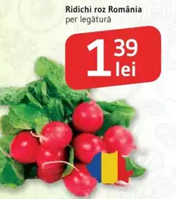 Supeco Ridichi roz România Ofertă