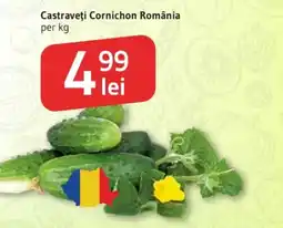 Supeco Castraveţi Cornichon România Ofertă