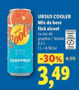 Lidl URSUS COOLER Ofertă