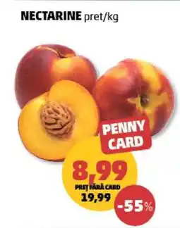 Penny Nectarine Ofertă