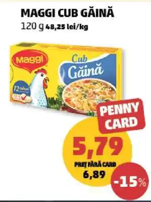 Penny MAGGI CUB GĂINĂ Ofertă
