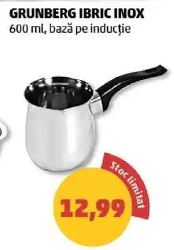 Penny GRUNBERG IBRIC INOX Ofertă