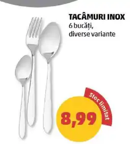Penny TACÂMURI INOX Ofertă