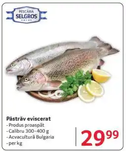 Selgros Păstrăv eviscerat Ofertă