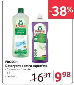 Selgros FROSCH Detergent pentru suprafețe Ofertă