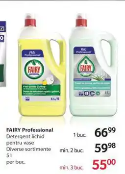 Selgros FAIRY Professional Ofertă