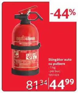 Selgros Stingător auto cu pulbere Ofertă