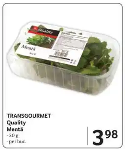 Selgros TRANSOURMET Quality Mentă Ofertă