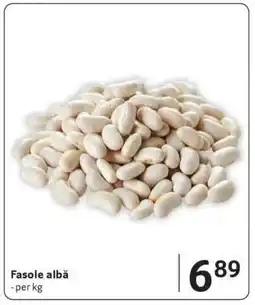 Selgros Fasole albă Ofertă
