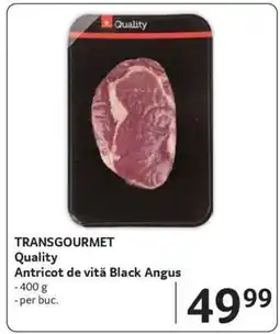 Selgros TRANSCOURMET Quality Ofertă