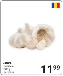 Selgros Usturoi Ofertă