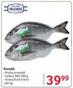 Selgros Dorada Ofertă