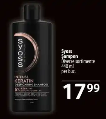 Selgros Syoss Șampon Ofertă