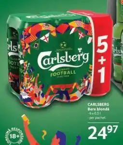 Selgros CARLSBERG Ofertă